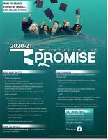 Ok Promise Info